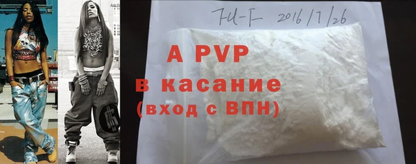 твердый Аркадак